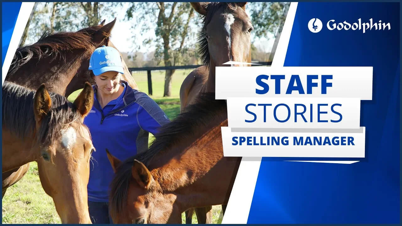 Staff Stories: Spelling Manager