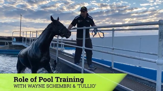 Episode 10 | Pool Training