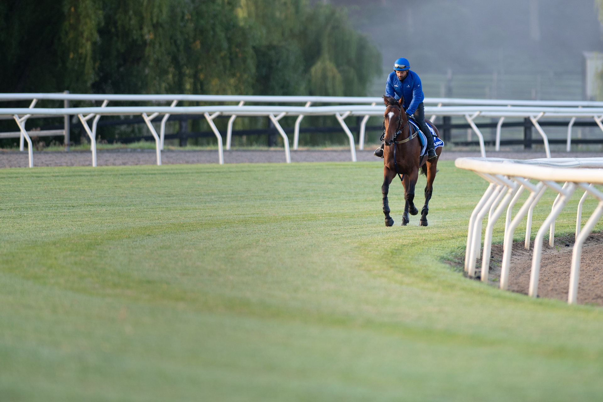 At The Track Plans For Winx Statue At Rosehill Daily Telegraph