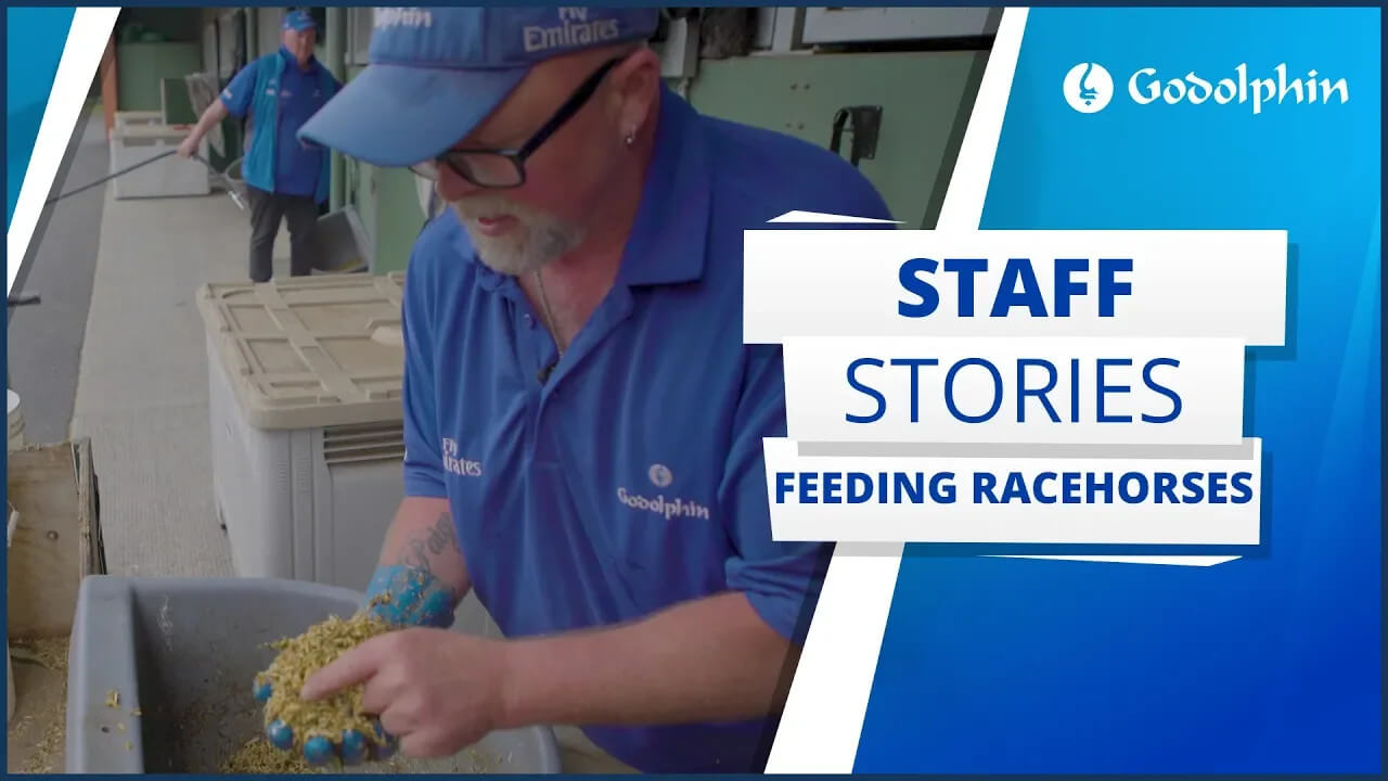 Staff Stories: Feeding Racehorses