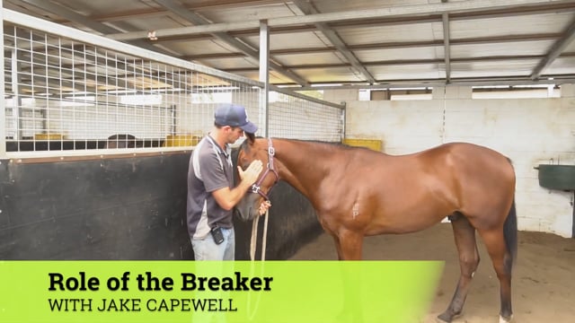 Episode 4 | The Horse Breaker