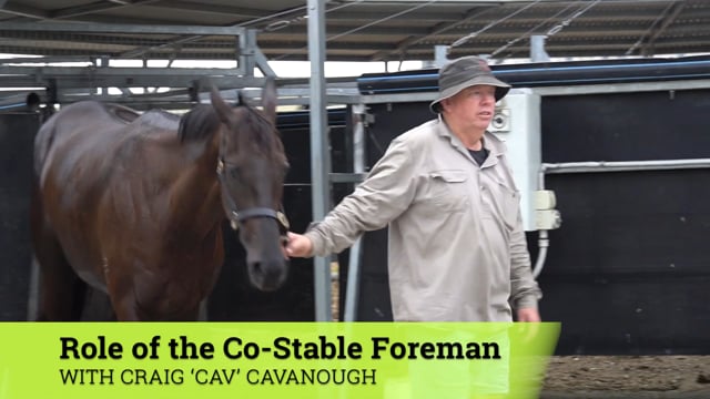 Episode 5 | The Stable Foreman’ The Sequel