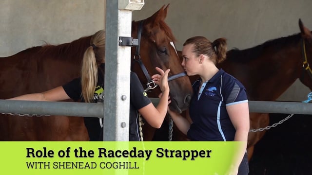 Episode 8 | The Raceday Strapper