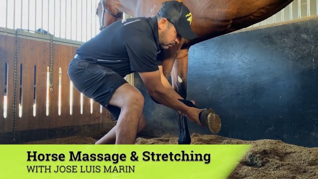 Episode 11 | Horse Massage & Stretching