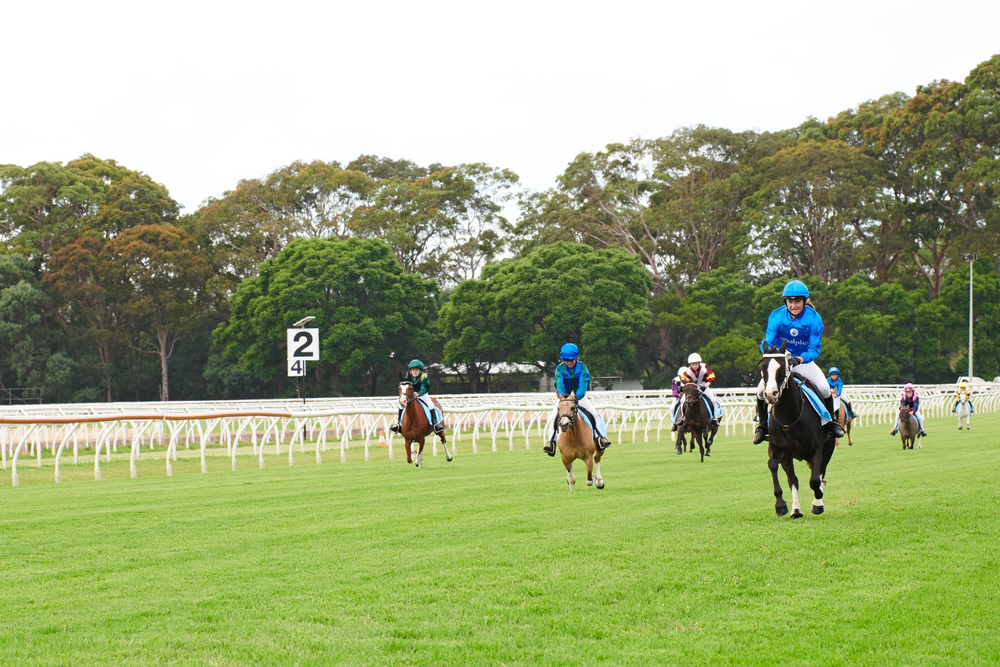 The Valley Next Stop on the Pony Racing Express – Friday 25 March 2022